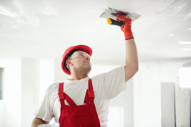 Wallpaper Removal and Painting in Franklin, OH